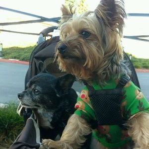 Meet your Posher, Hern